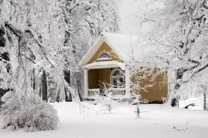 winter