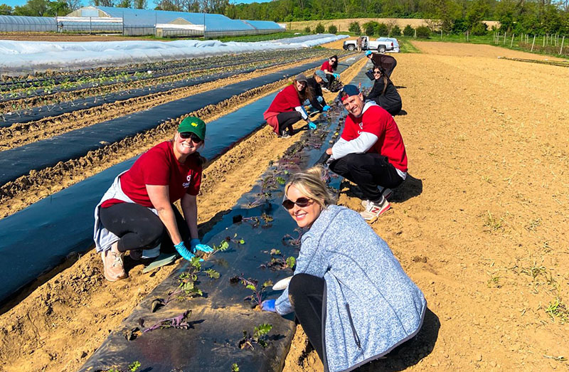 A group of CubeSmart volunteers wearing matching red shirts, garden gloves, and sunglasses crouched in a sunny farm field, planting crops into black plastic-covered agricultural rows.
